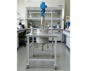 實(shí)驗(yàn)室反應(yīng)釜